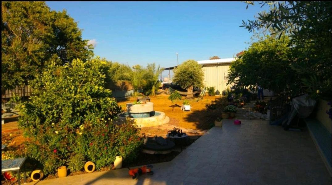 בחצר של טובה Hazon Exterior foto